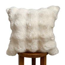 Load image into Gallery viewer, Erie Faux Fur Pillow Cover, 20&quot;